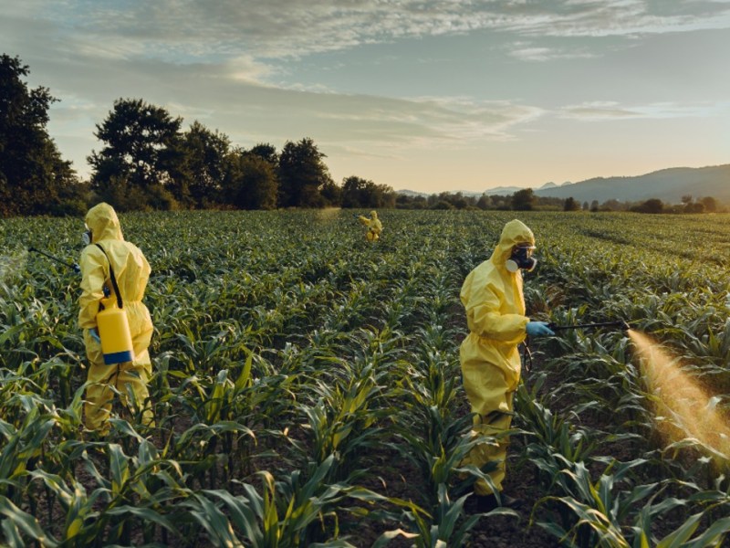 Agrotóxicos: um mal&nbsp;necessário?